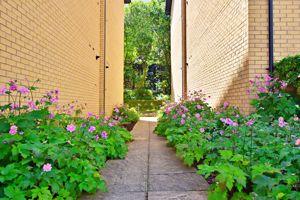 Photo 13- click for photo gallery